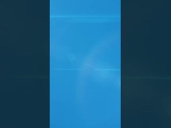 Elegante caja de joyas en forma de huevo con revestimiento de terciopelo