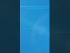 La insignia virtual de carrera en línea celebra tu viaje de acondicionamiento físico